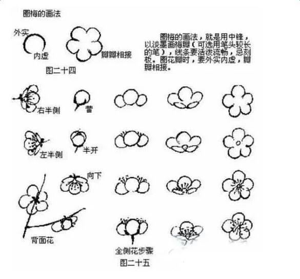 小学生刚接触国画一周后比赛
