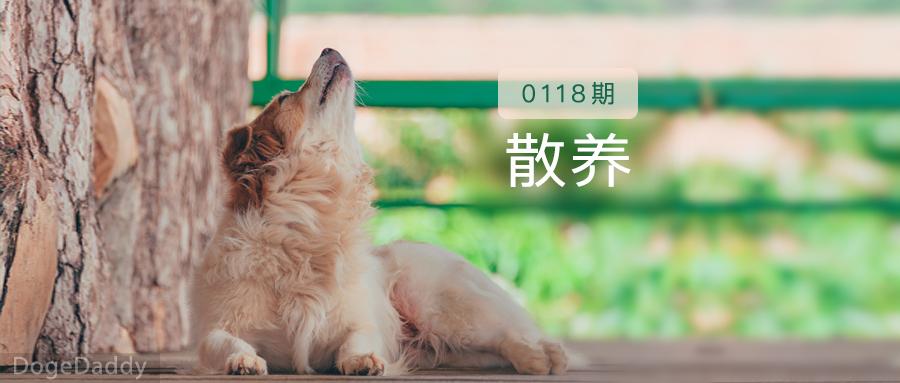 v2-7f0ed1a4dbedc9a564fc2d89759b90d8_1440w.jpg?source=172ae18b