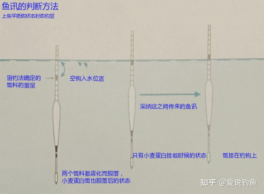[ 日本鲫鱼钓 ]春季底钓第三篇之回浮到空钩入水位置后再看准鱼讯 - 知乎