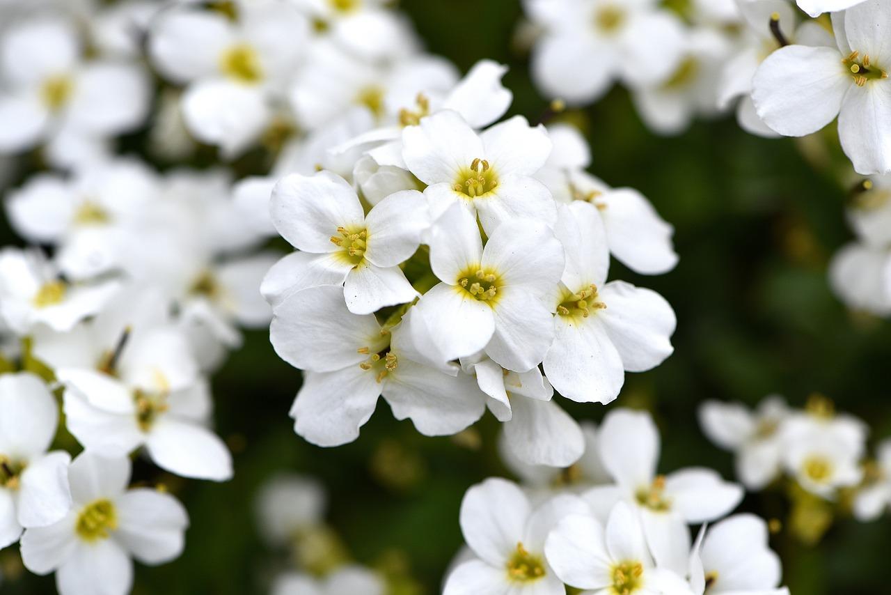 瓷砖胶 多少平方