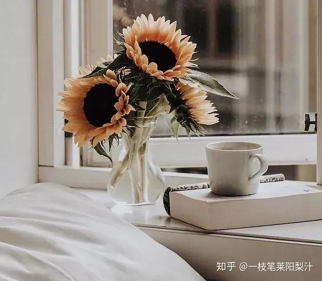 慢生活 | 从生存到生活,中间只差了“精致”,你觉得呢? - 知乎