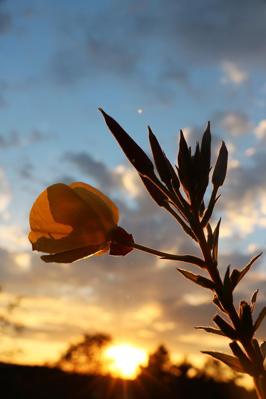 二手房过户流程解析