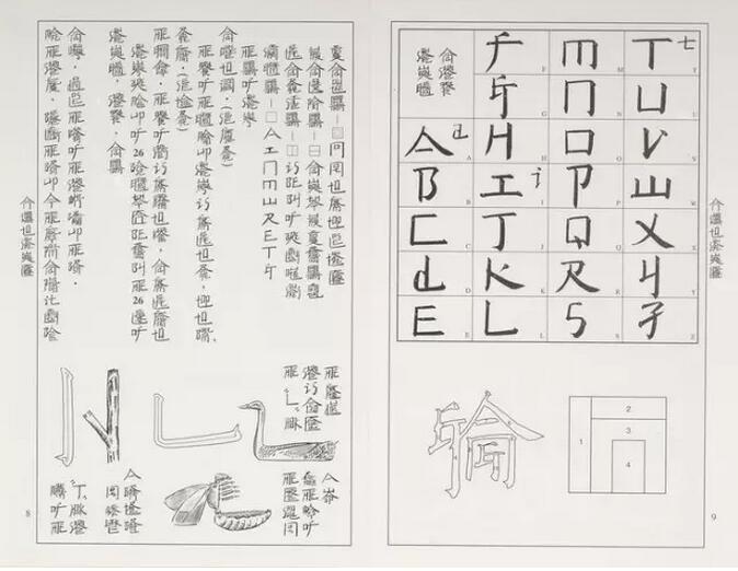 如何评价徐冰的天书