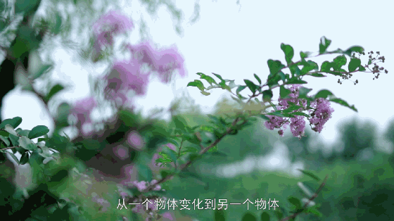简单几步学会手动变焦,单反拍视频的常用技能 - 知乎