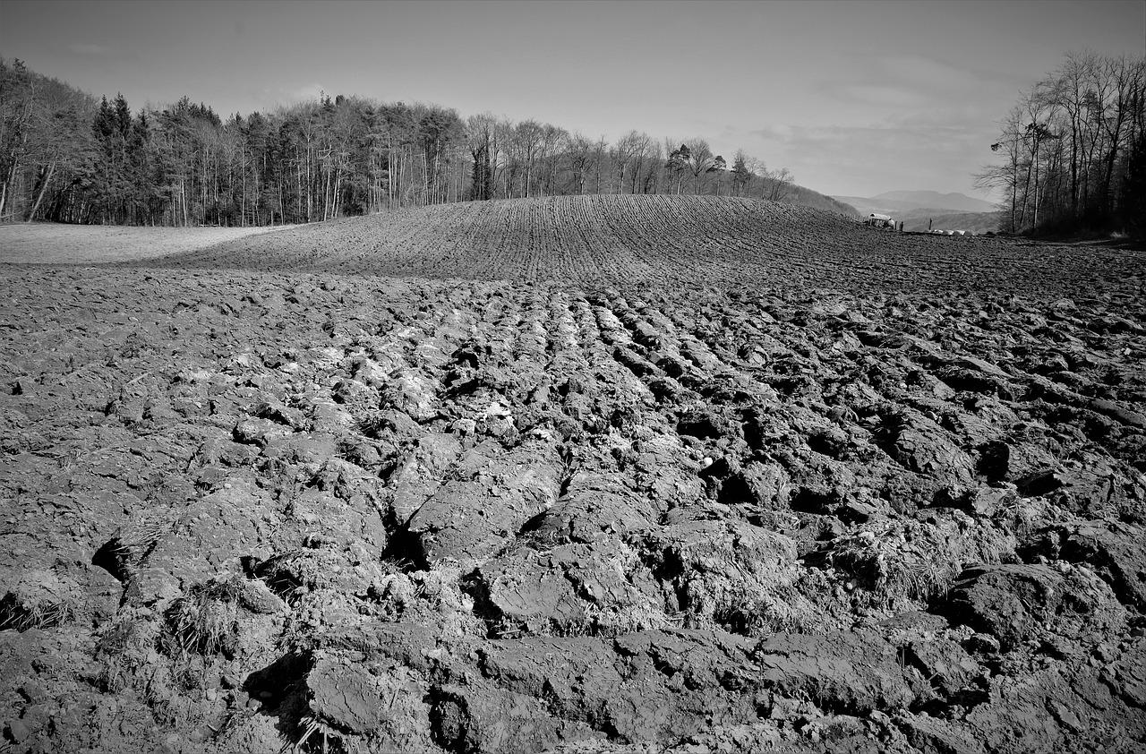 5. 土地面积揭秘