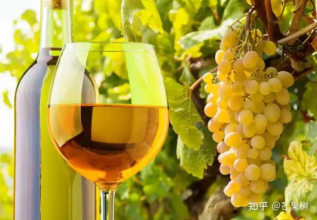 白葡萄酒什么品牌好,推荐白葡萄酒十大品牌排行榜排名 - 知乎