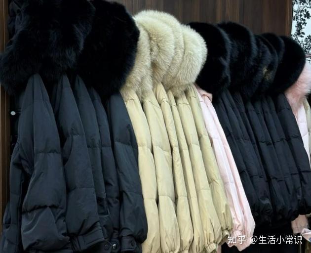 高梵、Gakior、波司登羽绒服哪款好?怎么选？测评了解如何选购！ - 知乎