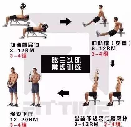 肱三头肌训练最佳动作,详细图解 - 知乎