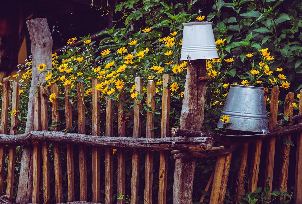 金田花园是什么小学