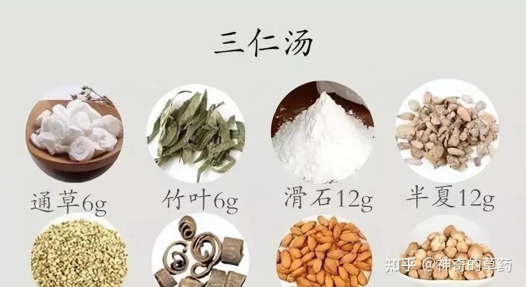 史上最全脾虚症状大总结!理清你的脾虚是哪一种,对症选方才有效 - 知乎