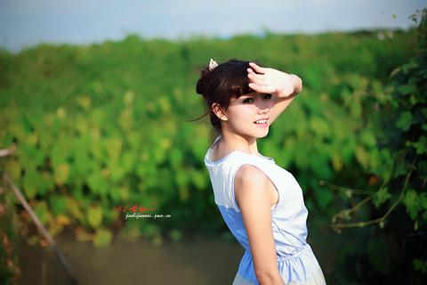 十多年交易老鸟,裸k交易践行者老k笔记巧用macd指标配合裸k线入场(4)