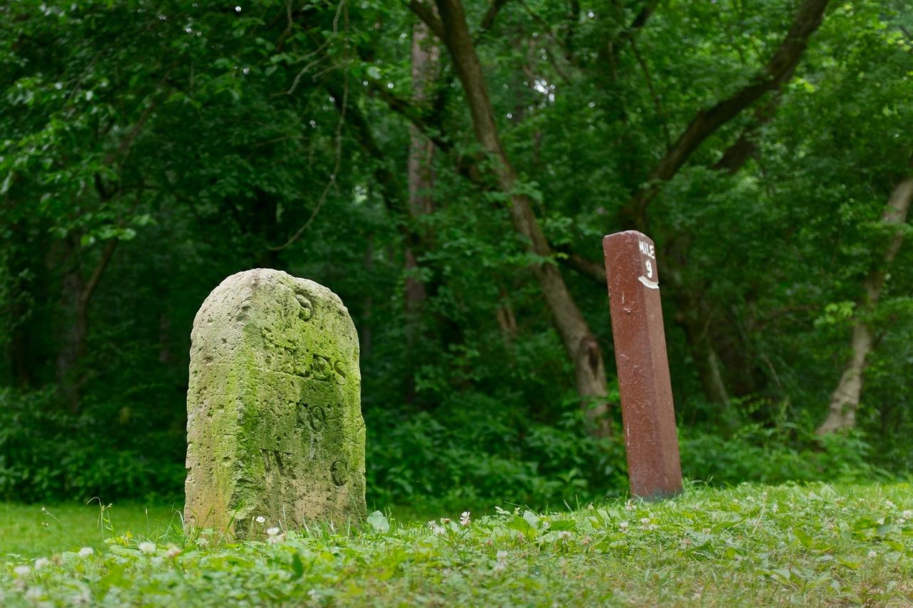 3. 步数与距离关系