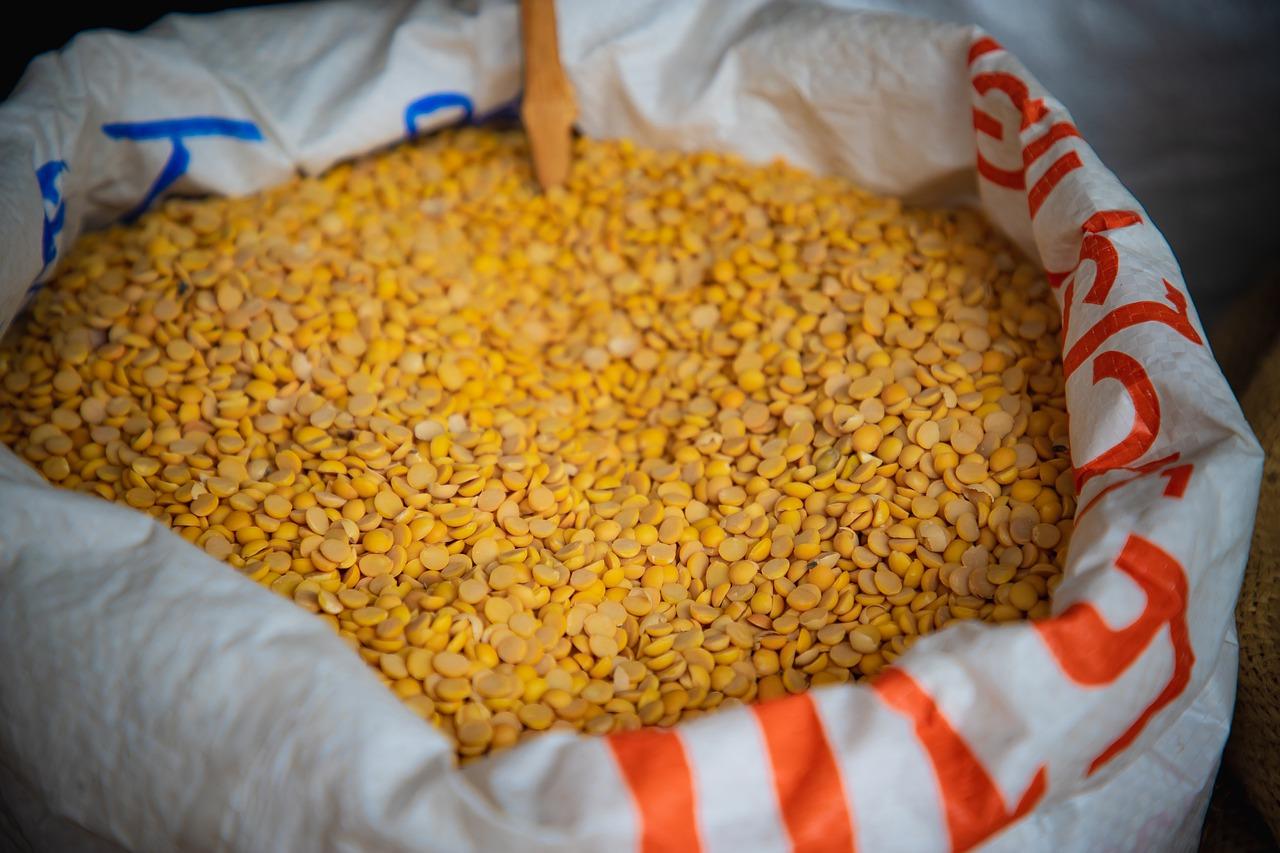 户型设计新颖吗