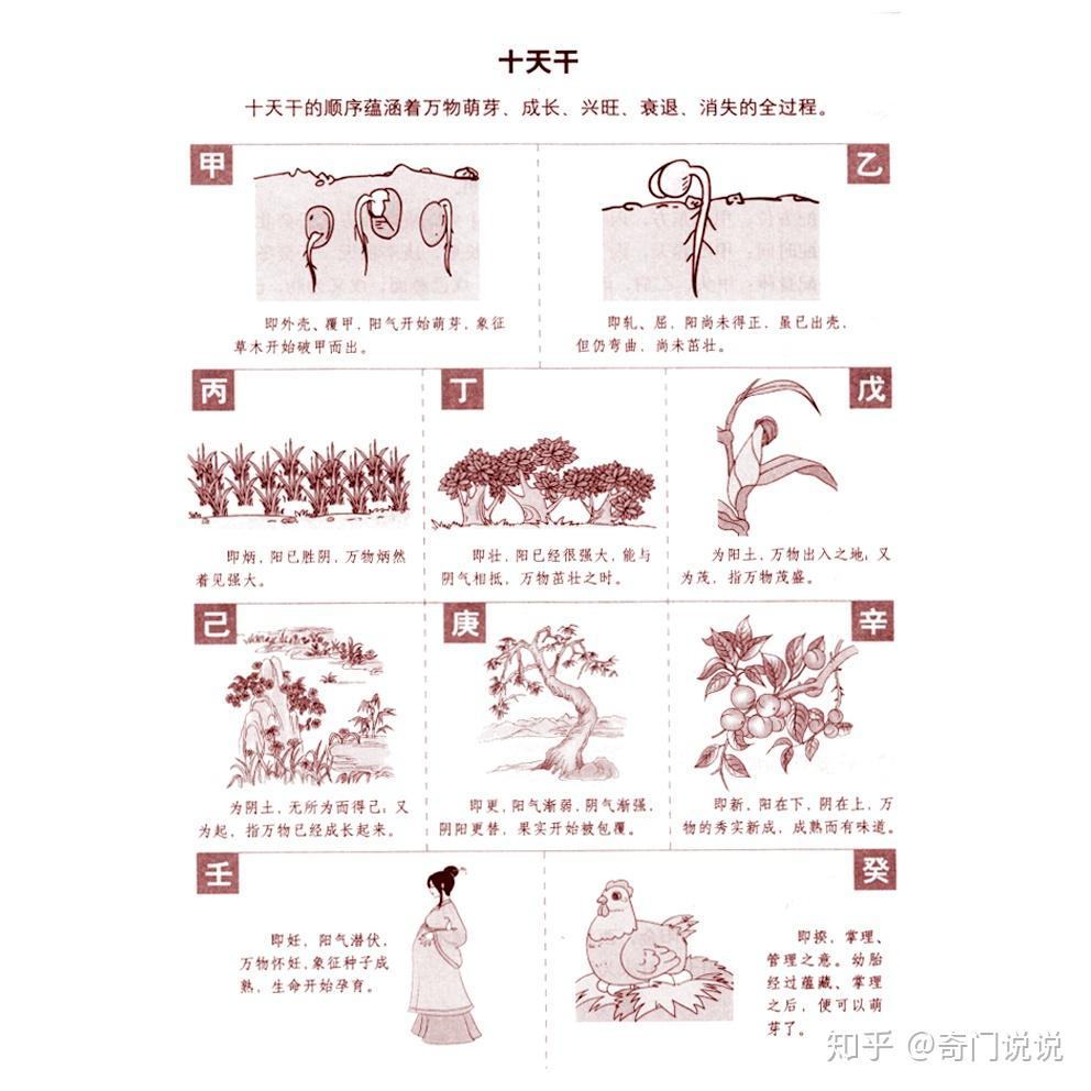 奇门遁甲中的天干地支- 知乎