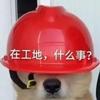 姜文新电影英雄出少年官宣 2025 影院见赵本山葛优马丽雷佳音主演你期待吗 知乎