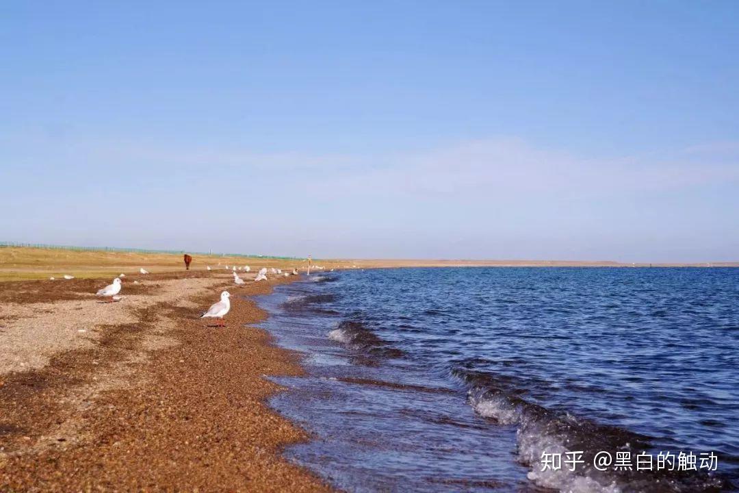 求去青海茶卡鹽湖的旅遊攻略? - 知乎