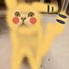 Mr.洋葱
