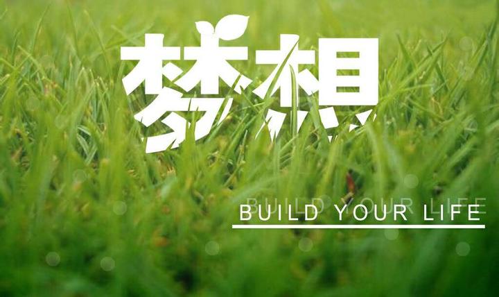 也许这就是梦想的力量