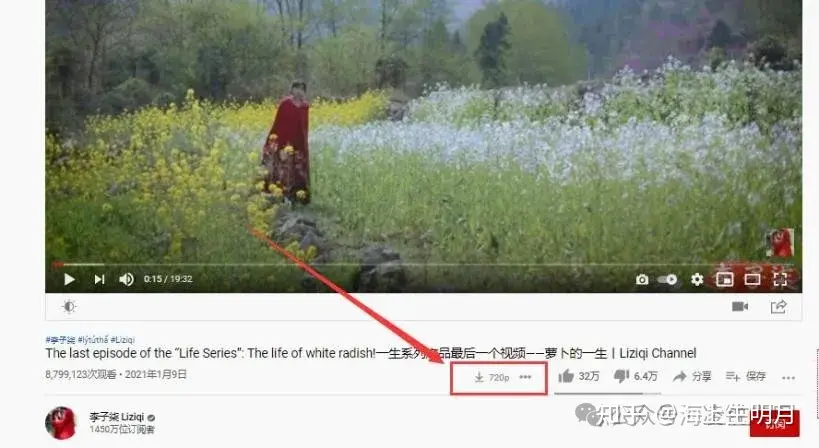 Download button appearing beneath a YouTube video player