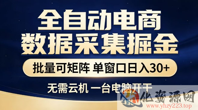 全自动电商数据集掘金，批量可矩阵，单窗口日入30+，无需云机，一台电脑开干【揭秘】