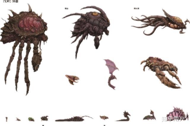 虫族的跳虫如果在地球上出于食物链什么位置