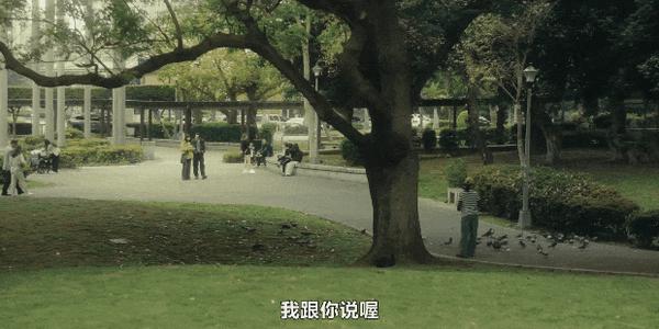《忘了我记得》双影后联手,8.2分华语王炸剧