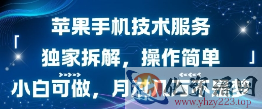 苹果手机技术服务，独家拆解，操作简单，小白可做，月过1W不是梦