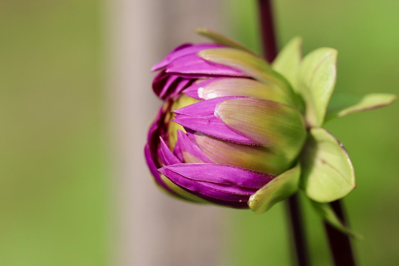 2. 窗纱材质解析