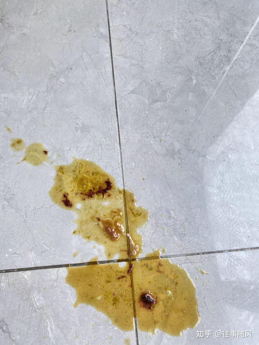 小狗呕吐