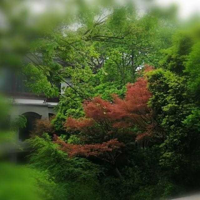 模型设计中的结构洞