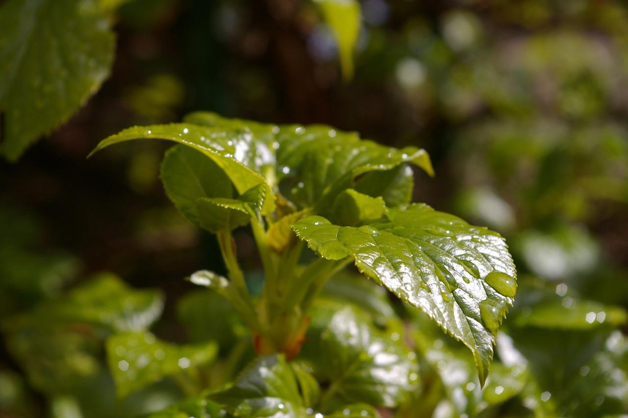 4. 交通便利程度