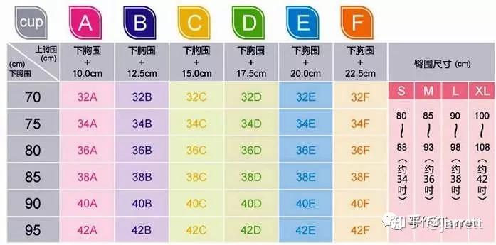 天天喊罩杯，你知道ABCD代表什么意思吗？希望我没说错 - 知乎