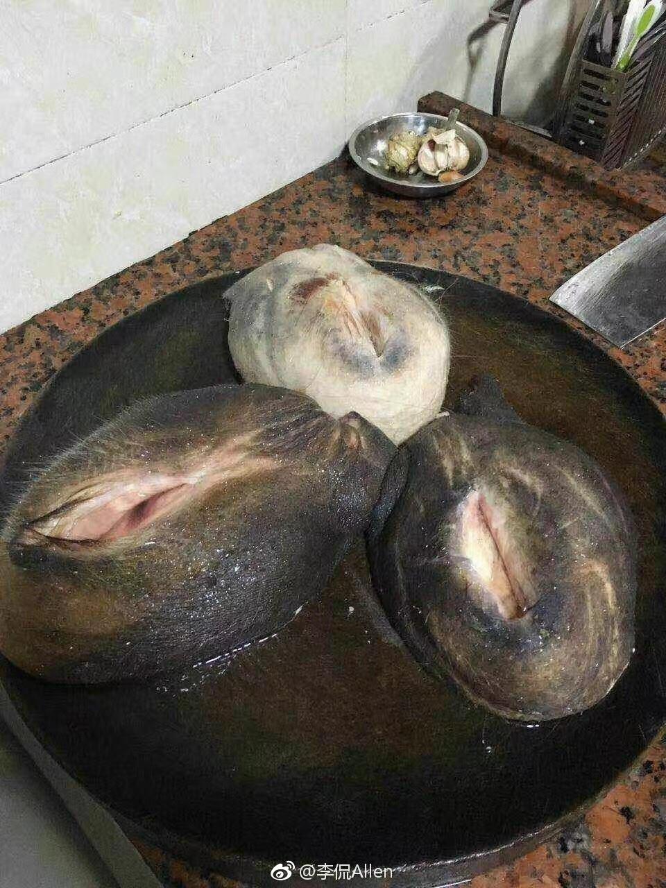 吃过牛欢喜是什么样的体验