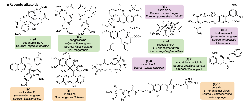 揭开单一手性世界外消旋天然产物的神秘面纱