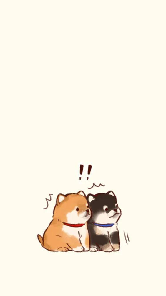 有没有一些柴犬或二哈超可爱的壁纸或头像? - 知乎