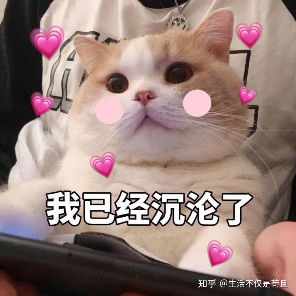 最“通人性”的几种猫，若是对它好，它会感恩一生- 知乎