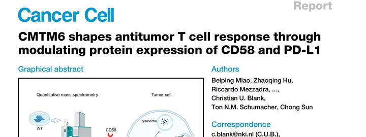cancer-cell