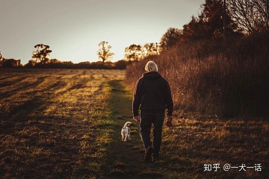养狗的人和养猫的人究竟哪里不同？ - 知乎