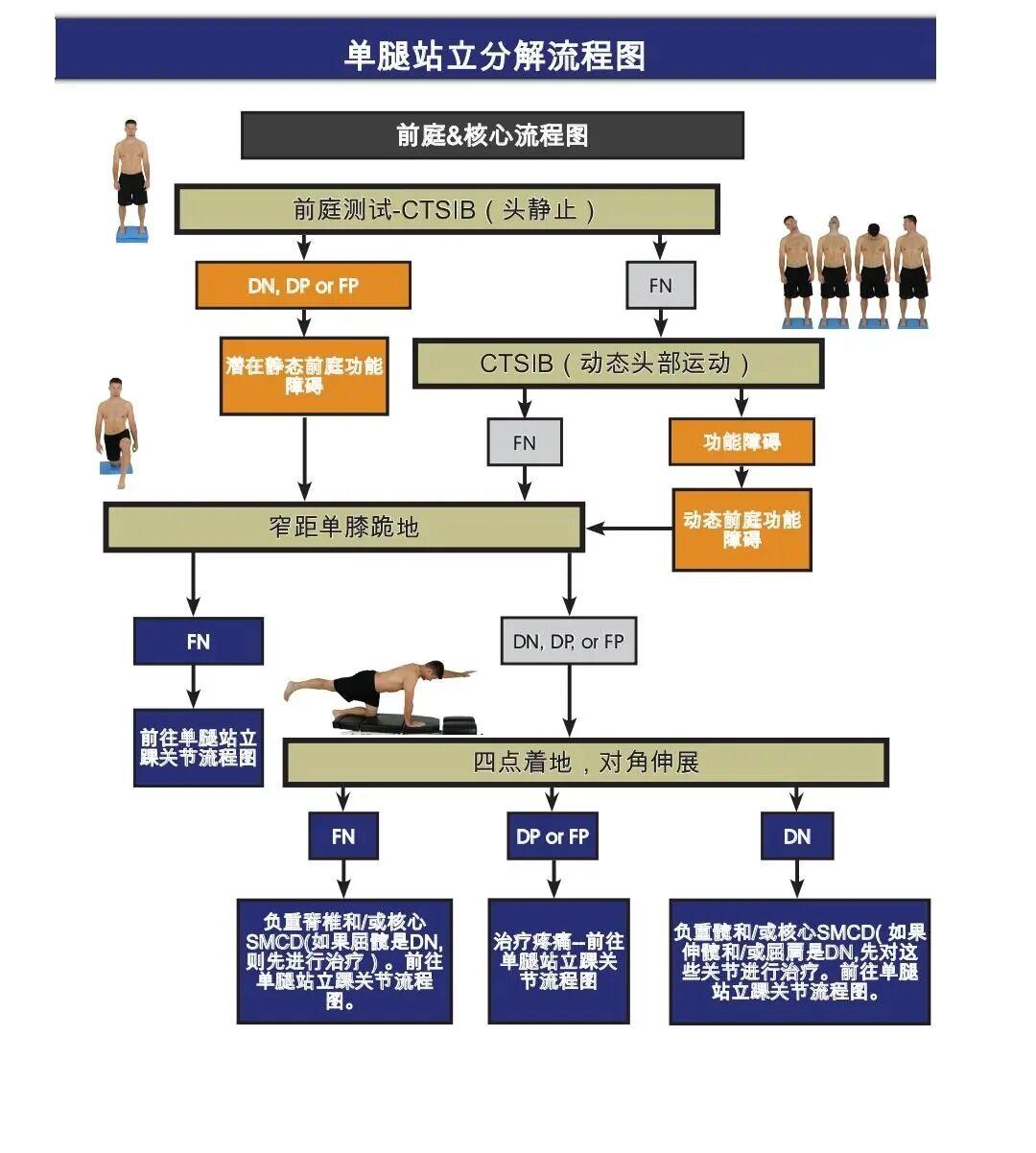 【运动康复】选择性功能动作评估--SFMA最全流程图 - 知乎