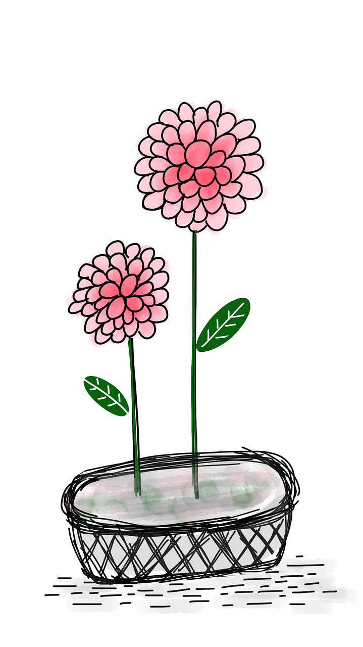 3. 种子播种步骤