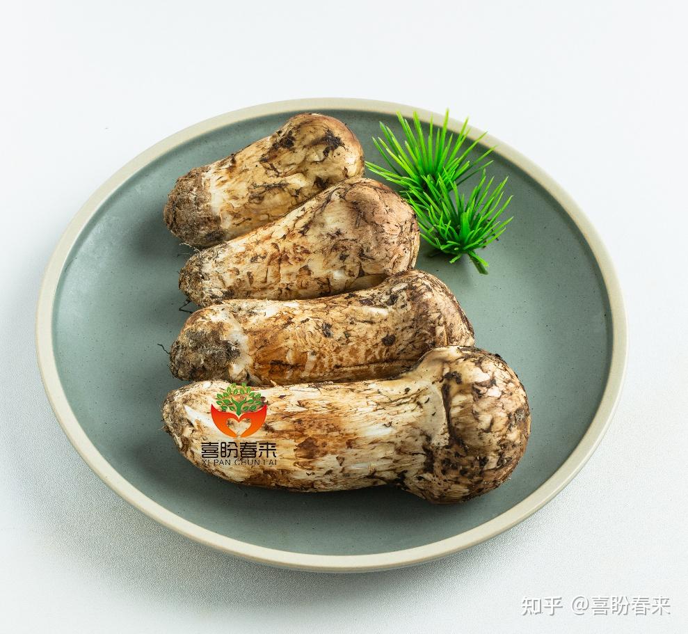 松茸多少钱一斤? - 知乎