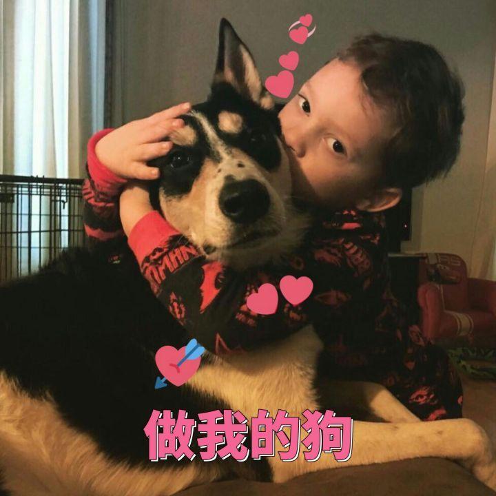 有没有可以给对象发的撒娇的表情包? - 知乎