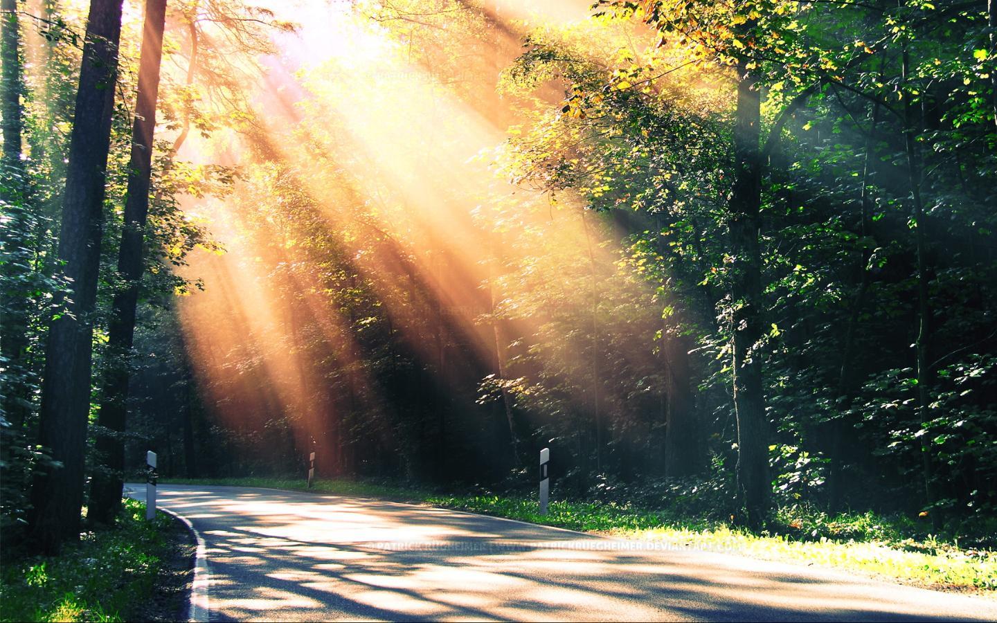 Ps光束大师滤镜插件安装与使用教程 快速营造丁达尔效应光线 知乎