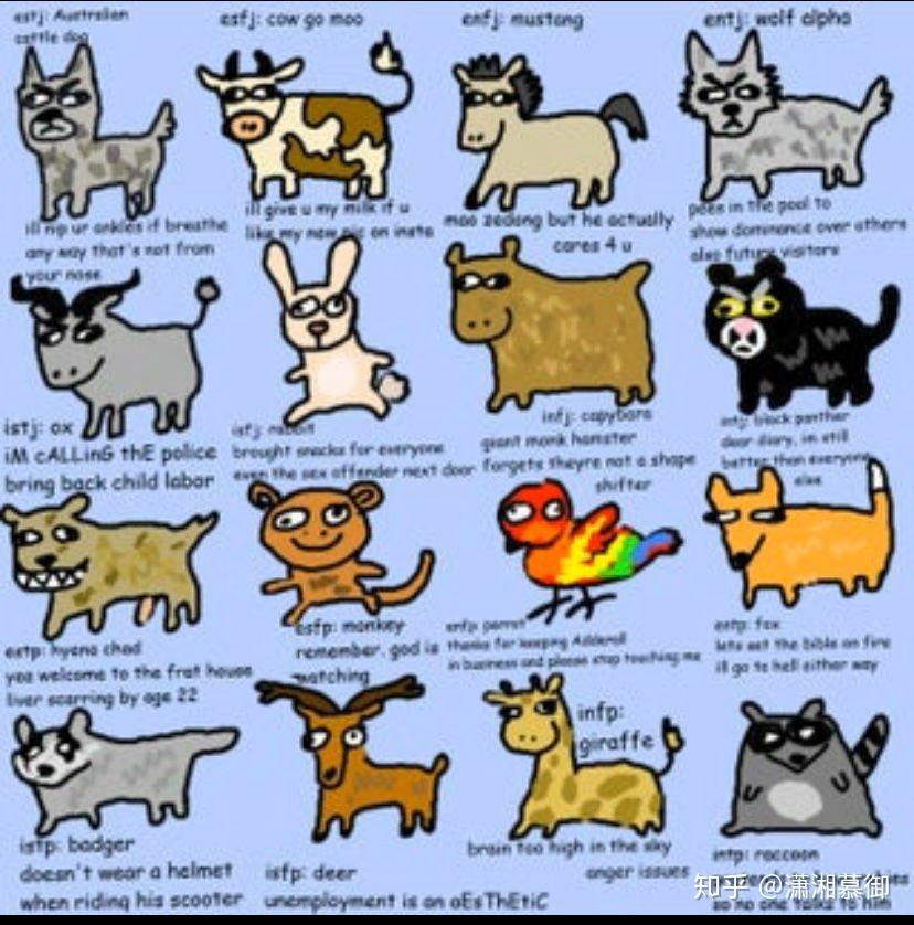 mbti/九型的各位把自己形象化为动物,你们觉得自己是哪种动物? - 知乎