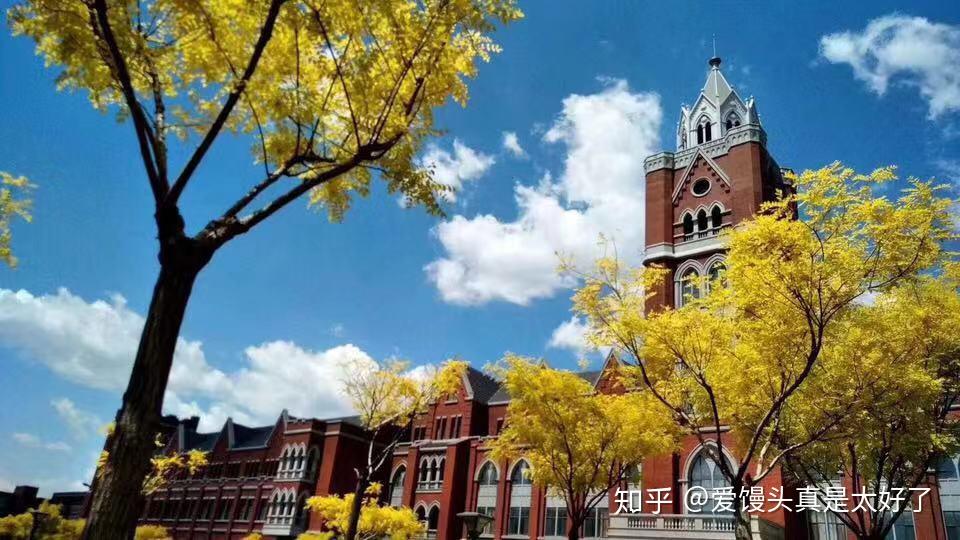 天津职业大学海河园校区怎么样分数线多少