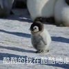 科研怪