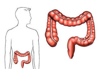 v2-8348e96c3f4c6f64f8bab61459b6c84d_1440w.jpg?source=172ae18b