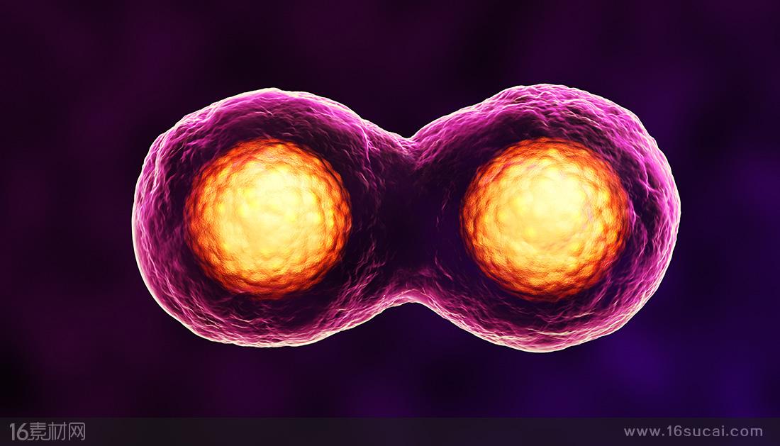 v2-83621e9cfbe2ec73c3a0a54cdd0821a8_1440w.jpg?source=172ae18b