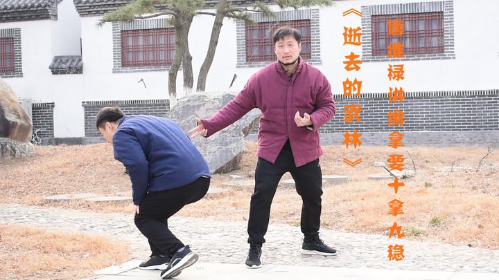 逝去的武林唐维禄讲擒拿要十拿九稳庞超论形意拳的身法拿人