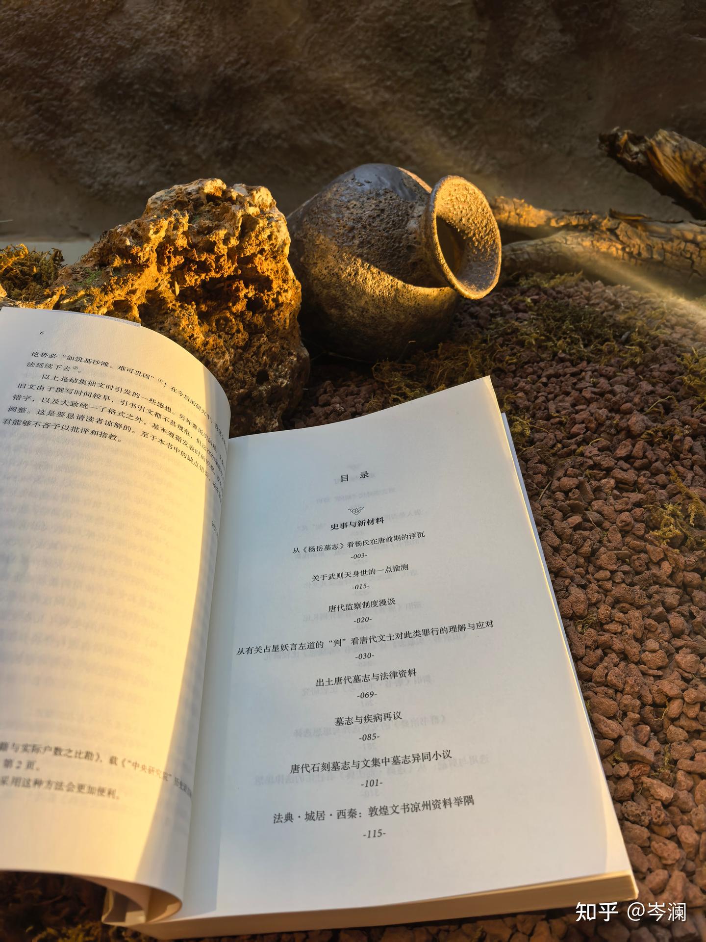 从《不止日常》看唐代胡风的文化影响 - 知乎